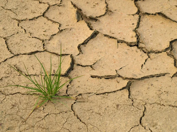 Cracked Soil Desert — Stock Photo, Image