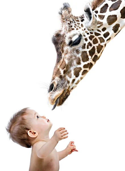 Scenic View Cute Toddler Child — Stock Photo, Image