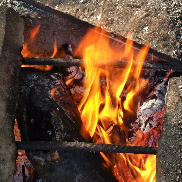 Groenten Een Barbecue Bbq Met Flikkeren Vlam — Stockfoto