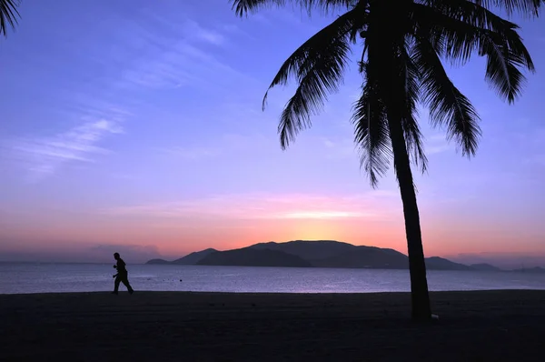 Paesaggio Palme Silhouette Dell Isola Sulla Spiaggia All Alba — Foto Stock