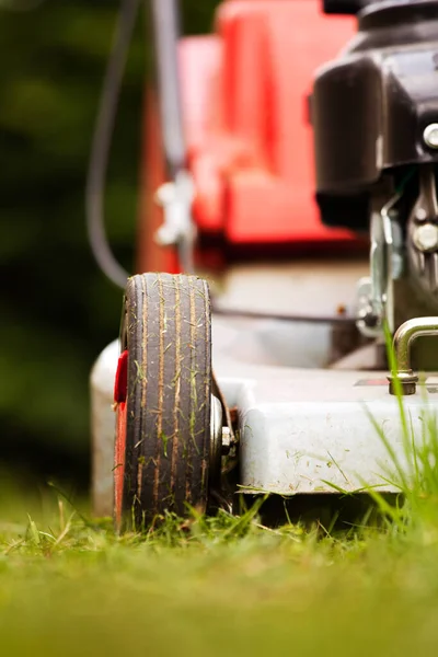 Country Life Selective Focus — Stock Photo, Image