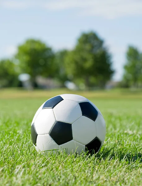 Soccer Ball Grass Blue Sky — Stock Photo, Image