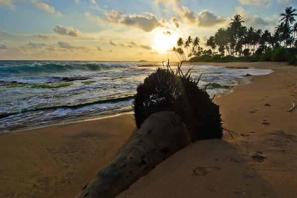 Impressioni Sulla Spiaggia Sri Lanka — Foto Stock
