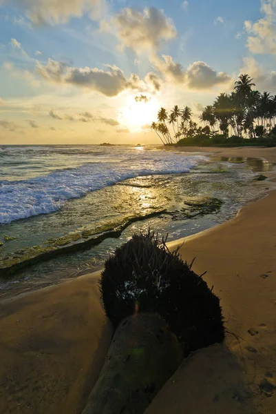 Impresiones Playa Sri Lanka — Foto de Stock
