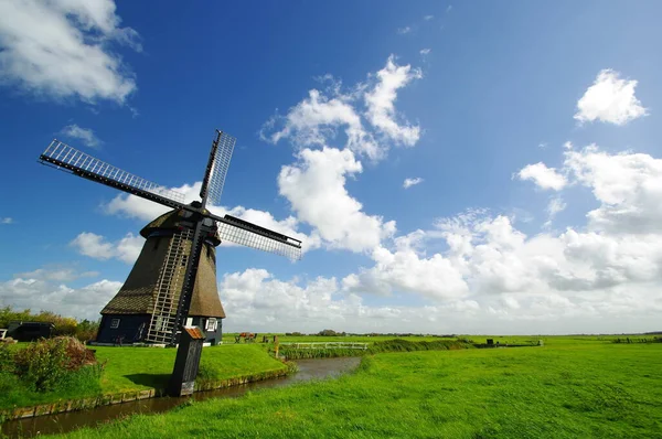 Väderkvarn Vid Skogsdunge Norra Holland — Stockfoto