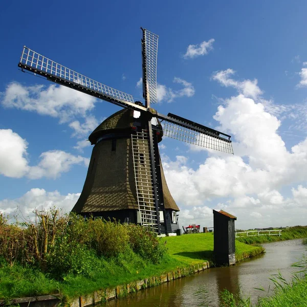 Holländsk Väderkvarn Vid Skogsdunge Norra Holland — Stockfoto