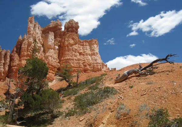 Bryce Canyon Rotsachtige Formatie Zandsteen Oriëntatiepunt — Stockfoto