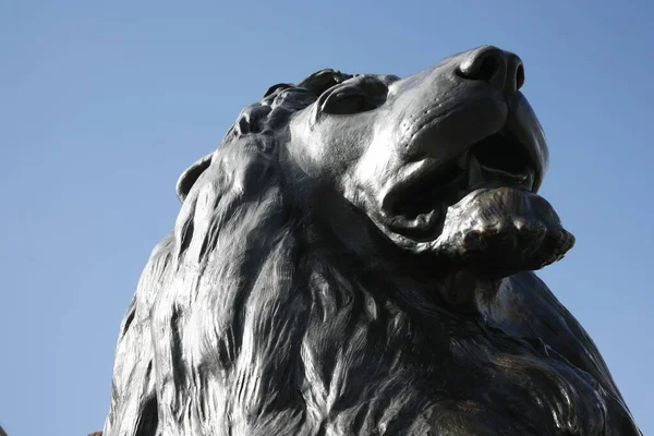 Die Vier Löwenstatuen Rund Nelson 039 — Stockfoto