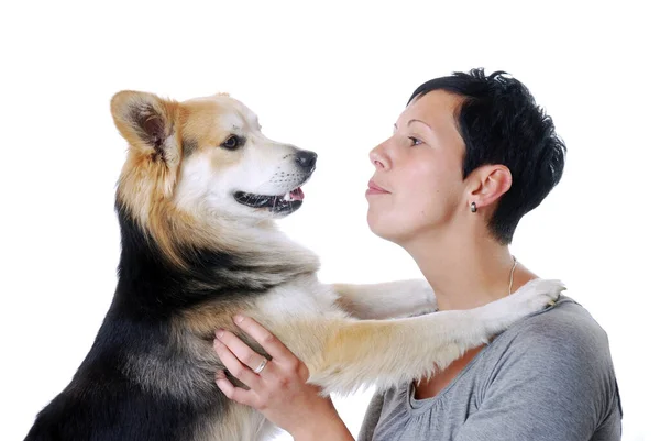 犬を持つ若い女性 — ストック写真