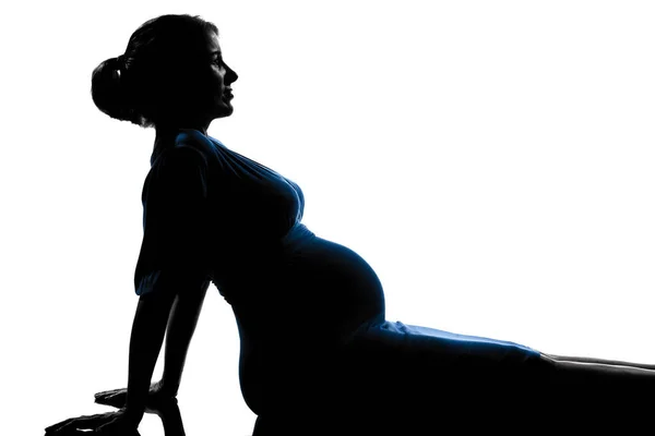 Beautiful Caucasian Pregnant Woman Silhouette Studio Isolated White Background — Stock Photo, Image