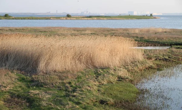 View Island Poel Wismar — Stock Photo, Image