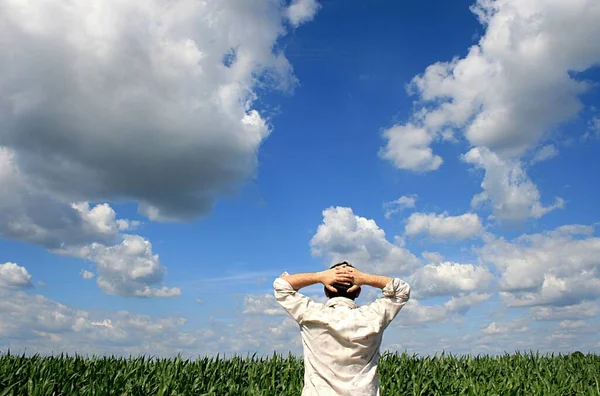 Young Man Standing Field Summer — Stock Photo, Image