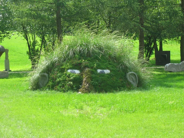 Gigante Hierba Cárgartenschau — Foto de Stock