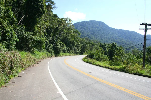 Straße Nahe Ubatuba Sao Paulo Brasilien — Stockfoto