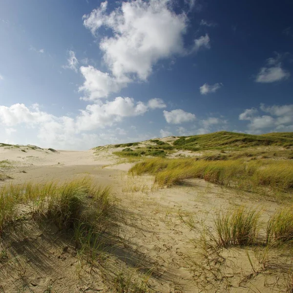 Sanddyner Mellan Schoorl Och Bergen Aan Zee Norra Holland — Stockfoto