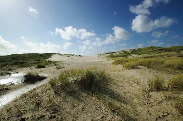 Dune Tra Schoorl Aan Zee Bergen Aan Zee Olanda Settentrionale — Foto Stock