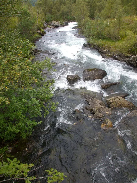 Rippen Rivier Natuur Landschap Achtergrond — Stockfoto