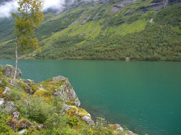 노르웨이인의 자연의걸 — 스톡 사진