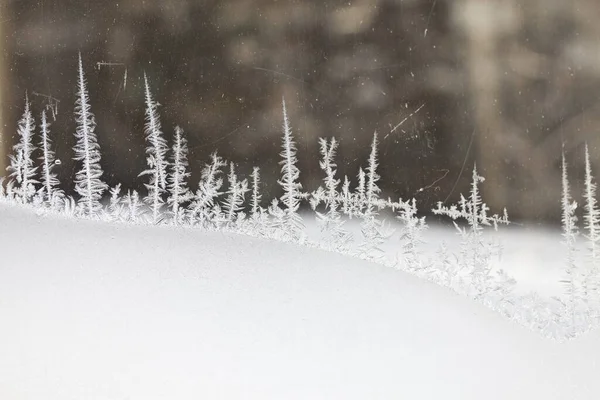 Eiskristalle Winterfrost — Stockfoto