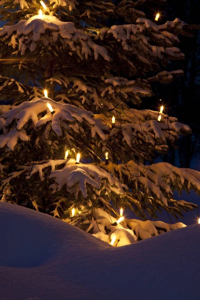 雪のクリスマスツリー — ストック写真
