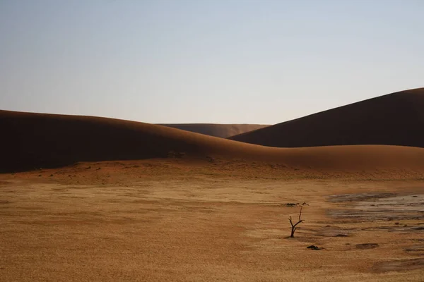 Namibya Çöl Afrika — Stok fotoğraf