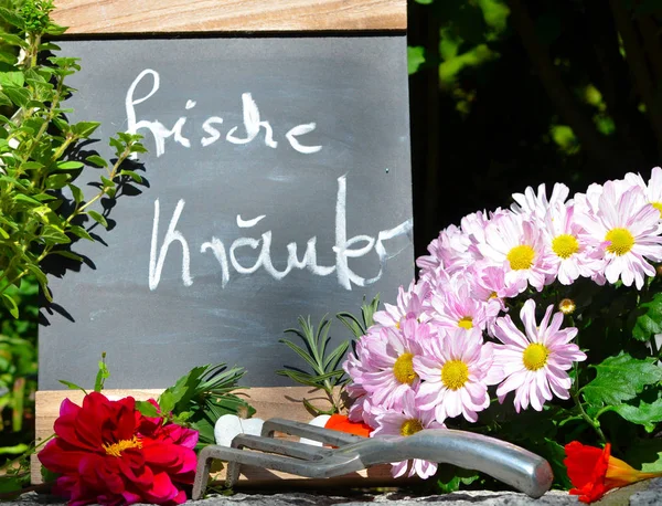 Diagramm Frische Kräuter Garten Blumen Vitamine — Stockfoto