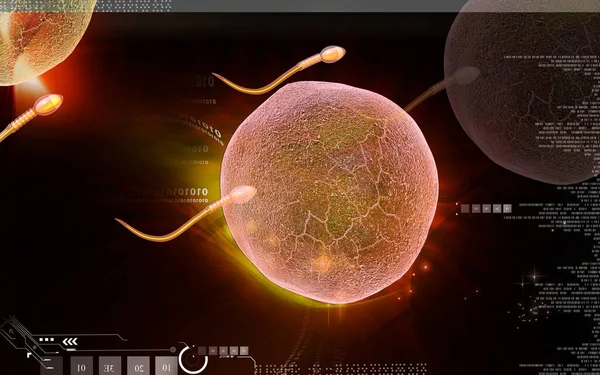 Digitale Darstellung Von Spermien Farbigen Hintergrund — Stockfoto