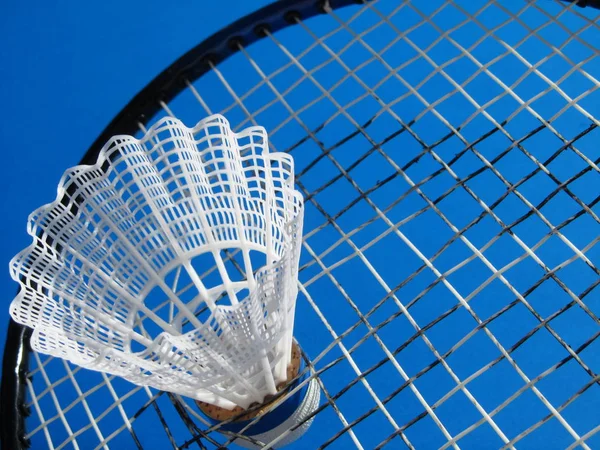 badminton shuttlecock in the net
