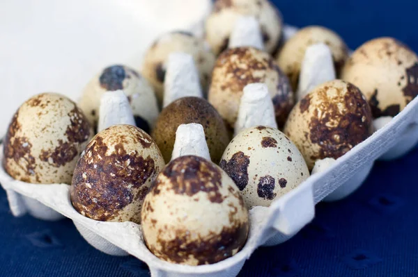 Pequeña Caja Huevo Con Huevos Codorniz —  Fotos de Stock
