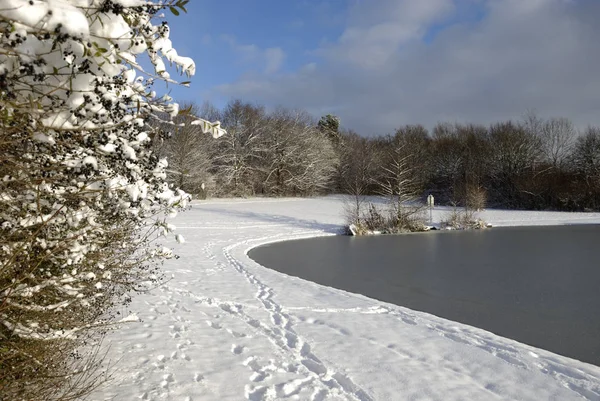 Winter Landscape Ostpark — Stock Photo, Image