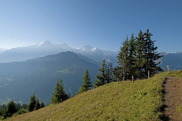 Paraiso Senderismo Bernés Oberland —  Fotos de Stock