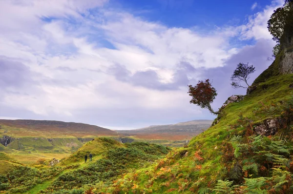 Insel Des Himmels Bizarre Landschaft — Stockfoto