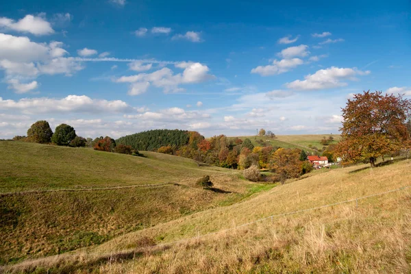 Nahaufnahme Von Schönen Hummeln Insekt — Stockfoto