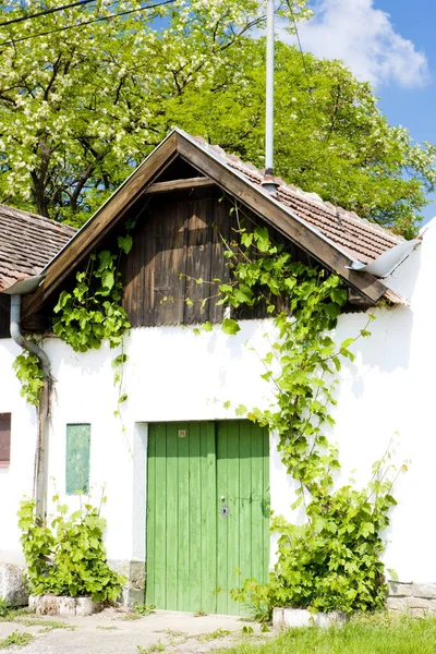 Volksweinkeller Jetzelsdorf Niederösterreich Österreich — Stockfoto