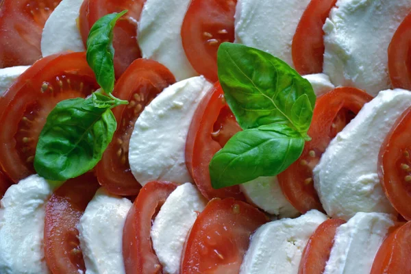 Domates Mozzarella Basil Salatası — Stok fotoğraf