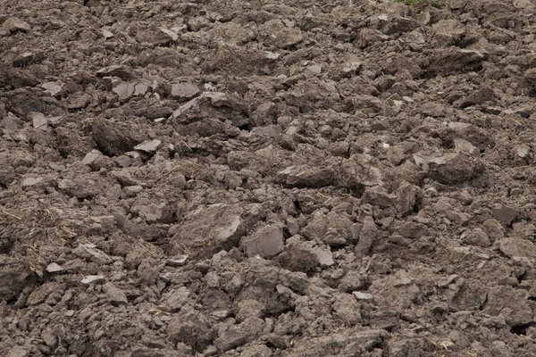 Terre Dans Champ Fraîchement Labouré — Photo