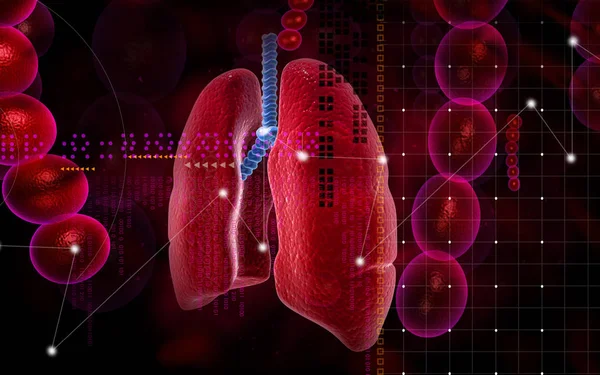 Cyfrowa Ilustracja Ludzkich Płuc Kolorowym Tle — Zdjęcie stockowe