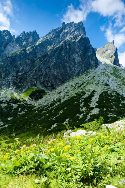 Small Cold Valley Vysoke Tatry High Tatras Eslováquia — Fotografia de Stock