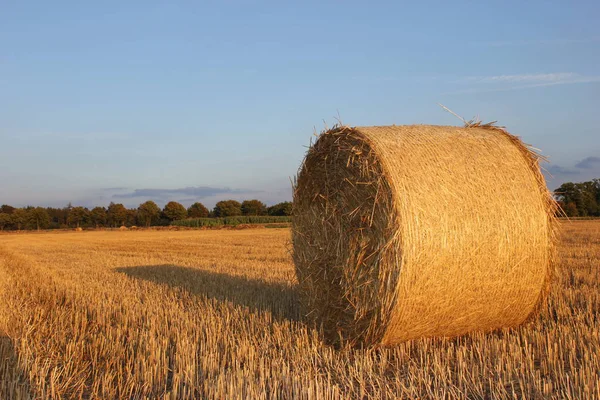 Campo Agrícola Con Fardos Paja —  Fotos de Stock