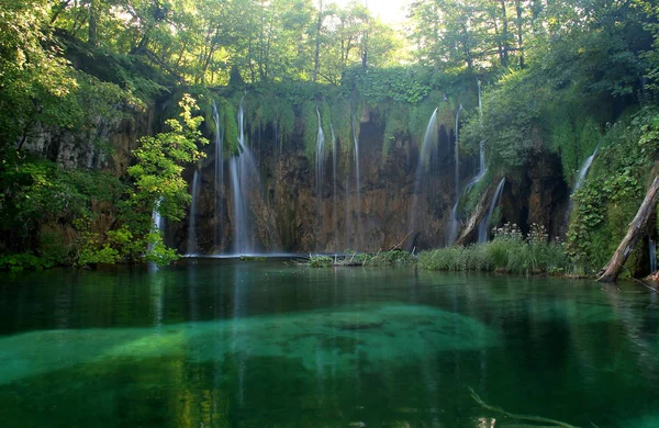 クロアチアのプリトヴィツェ公園 — ストック写真