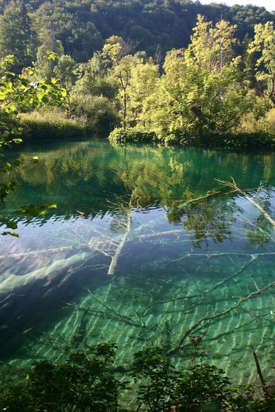 Plitvicer Park Kroatien — Stockfoto