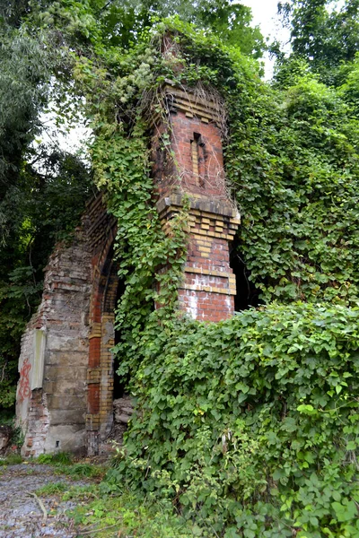 Hausruine Aus Dem Zweiten Weltkrieg Ruinas Casa Segunda Guerra Mundial — Foto de Stock
