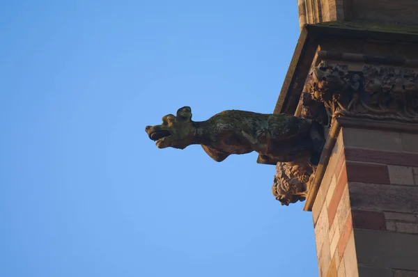 オランダのユトレヒトにあるドム教会の悪の猟犬のガーゴイル — ストック写真