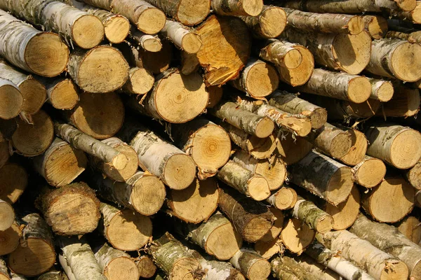 Brennholz Holzstapelholz — Stockfoto