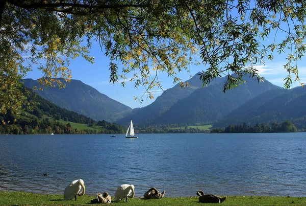 Ört Schliersee Vackra Berg — Stockfoto