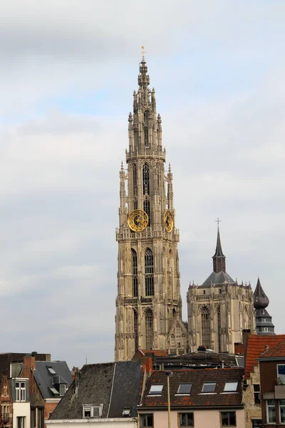 Catedral Virgem Antwerp — Fotografia de Stock