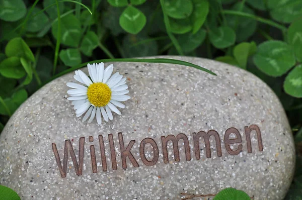 Das Wort Liebe Auf Einem Blumenhintergrund — Stockfoto