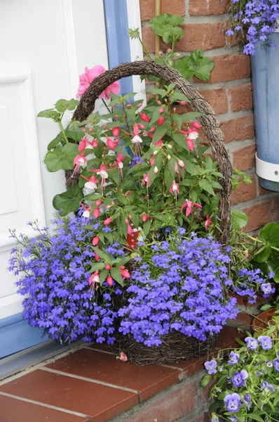 Fiori Una Casa — Foto Stock