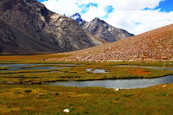 Bella Vista Della Scena Della Natura — Foto Stock