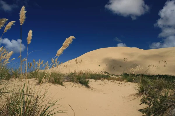 Gigantiska Sanddyner Vid Cape Reinga New Zealand — Stockfoto